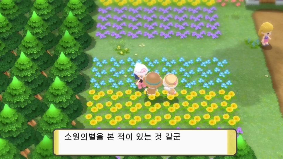 첫번째꽃향기 이미지
