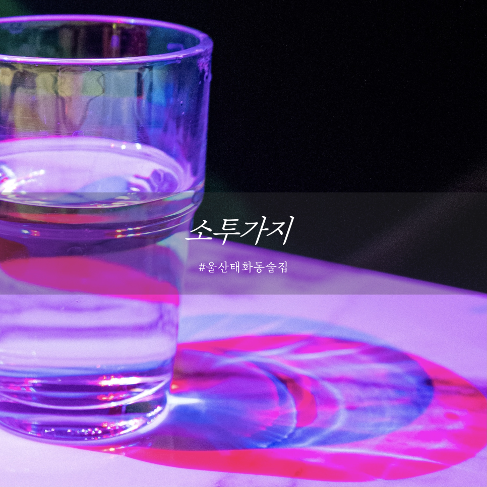 소투가지 이미지
