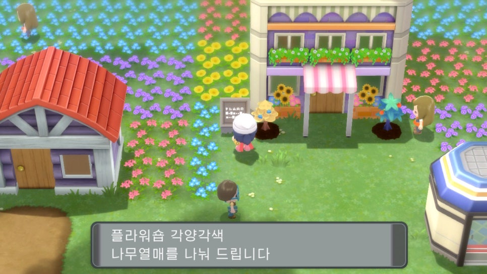 첫번째꽃향기 이미지