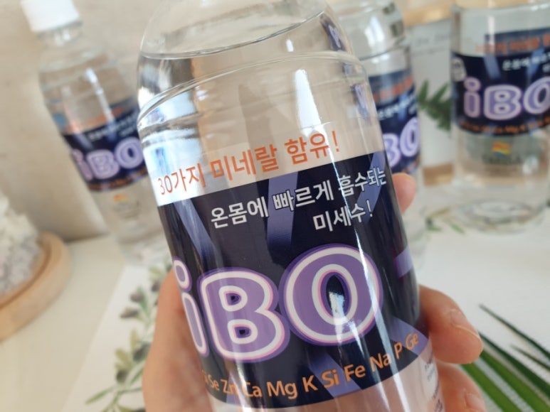 엘골인 바이오 이미지