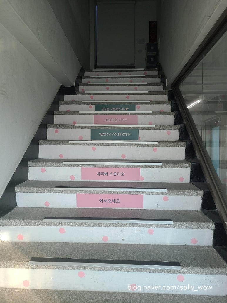 종로체육사 이미지