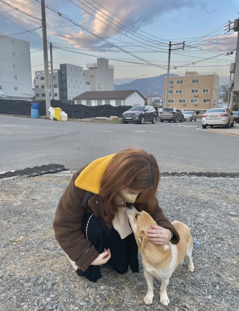 Apex Coffee(에이펙스 커피) 이미지