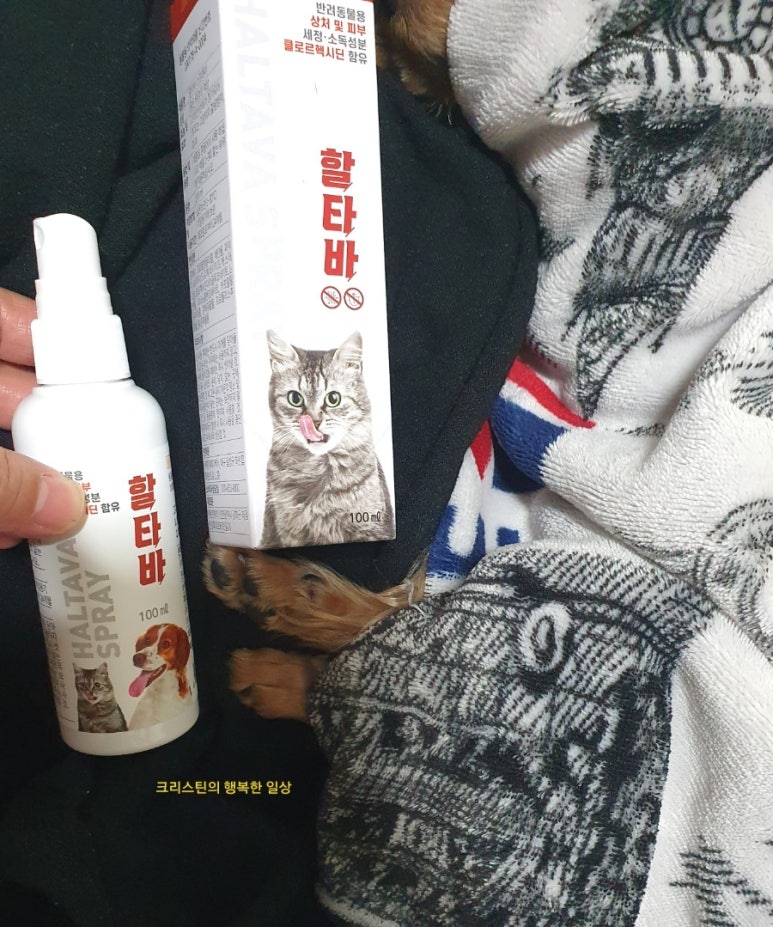 홍익홍삼 이미지