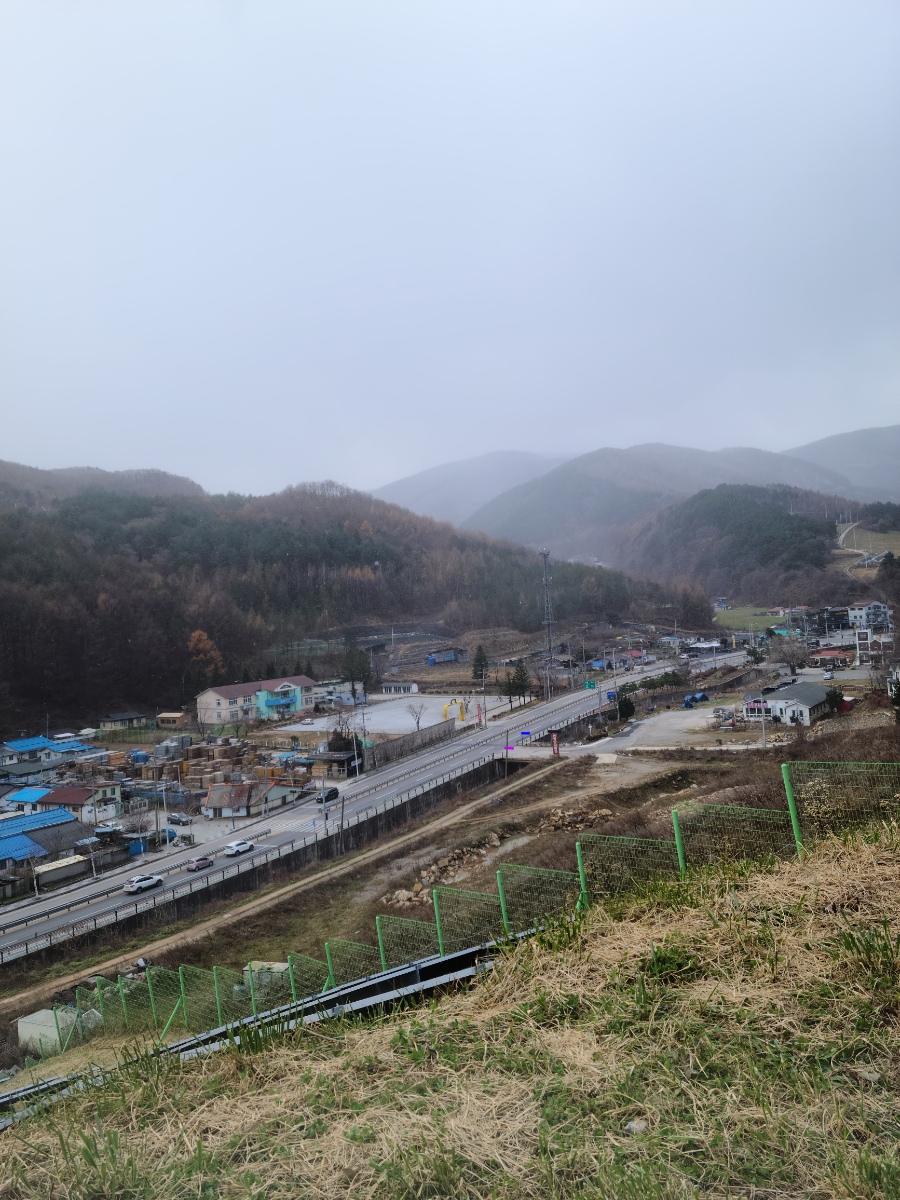 맘스터치태백점 이미지