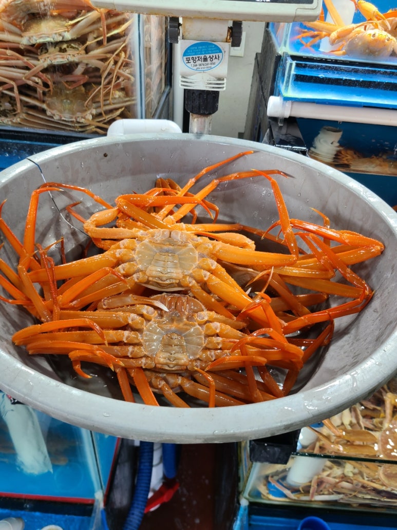 이준오수산 이미지