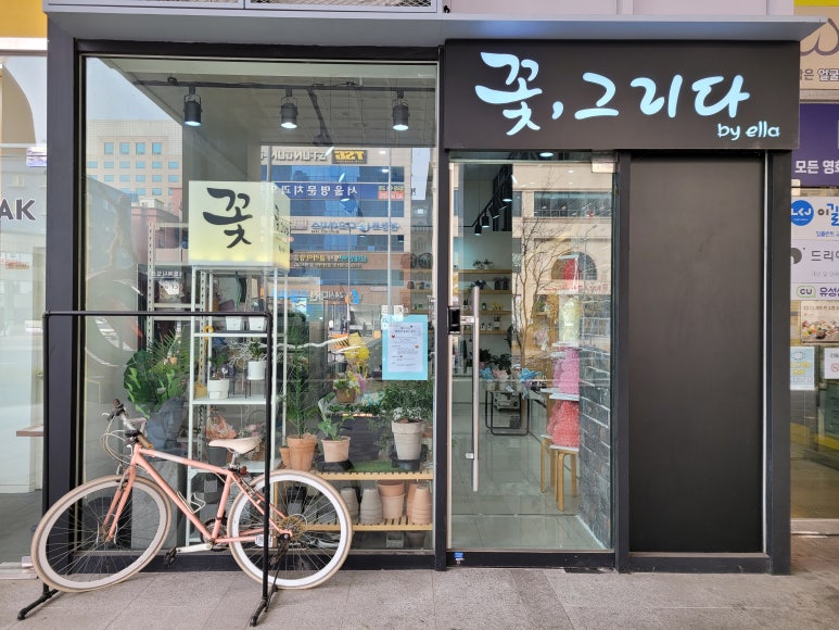 꽃그리다바이엘라 이미지