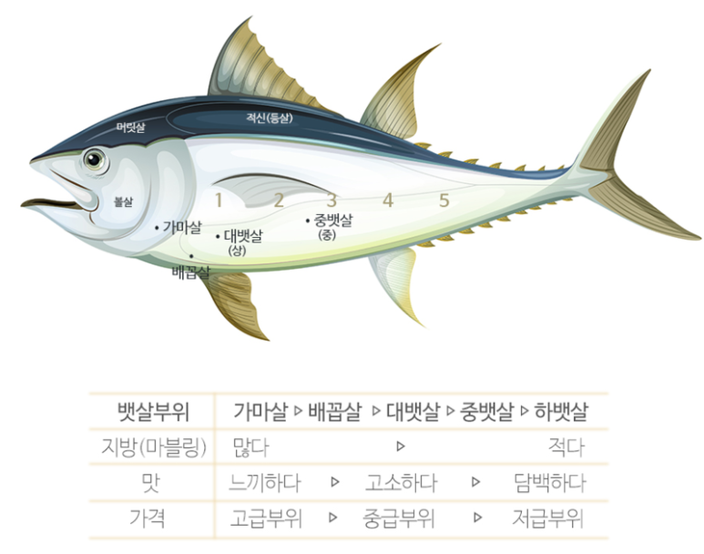 아라한참치 이미지
