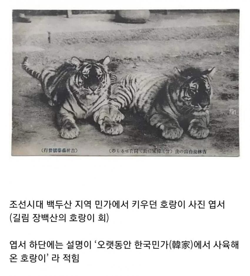조선시대 이미지
