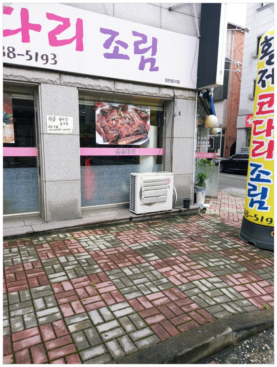 황제코다리 이미지