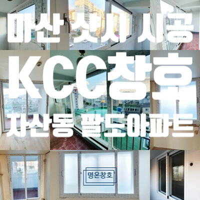 팔도샷시 이미지