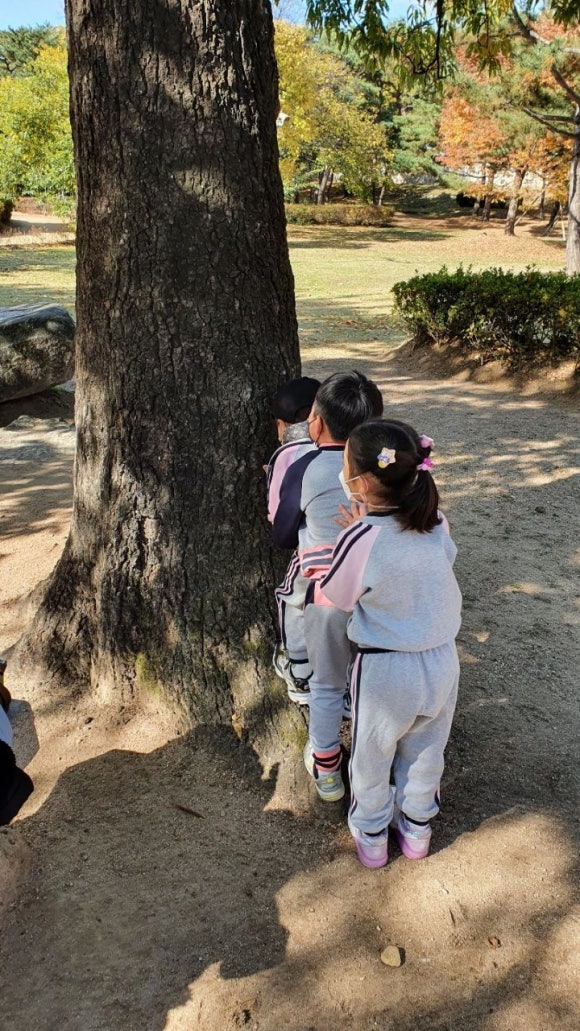 뜰이야기2 이미지