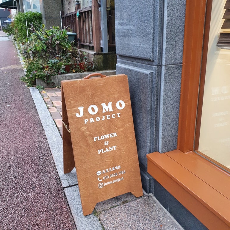 조모프로젝트 이미지