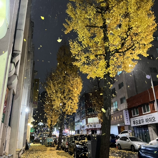 재민상회 이미지