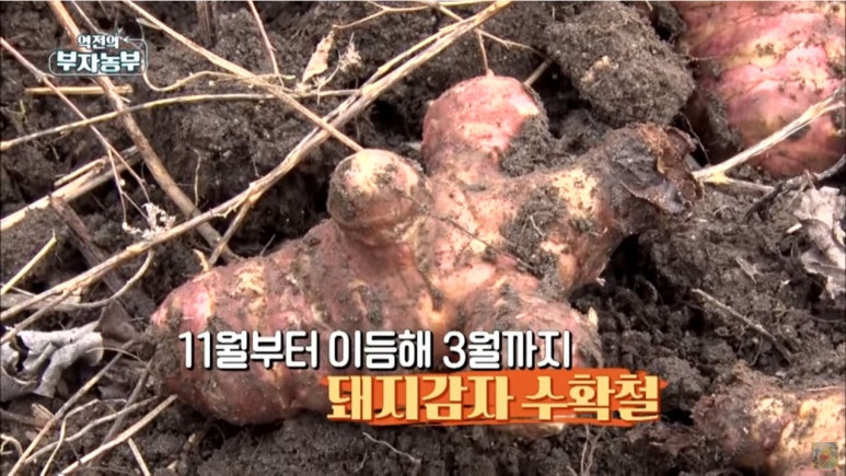 평밭농장 이미지