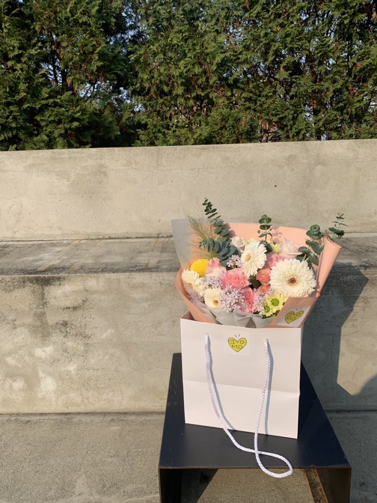 조모프로젝트 이미지