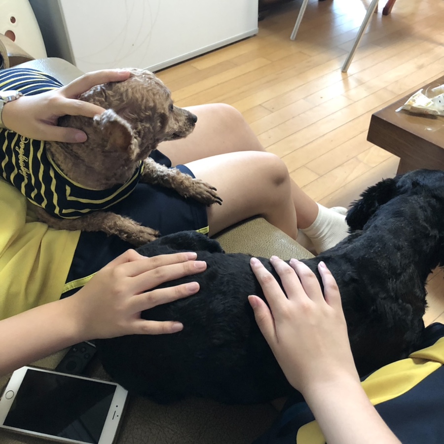 명진매점 이미지