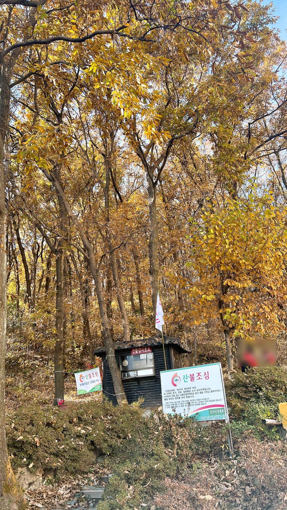 영주암유치원 이미지
