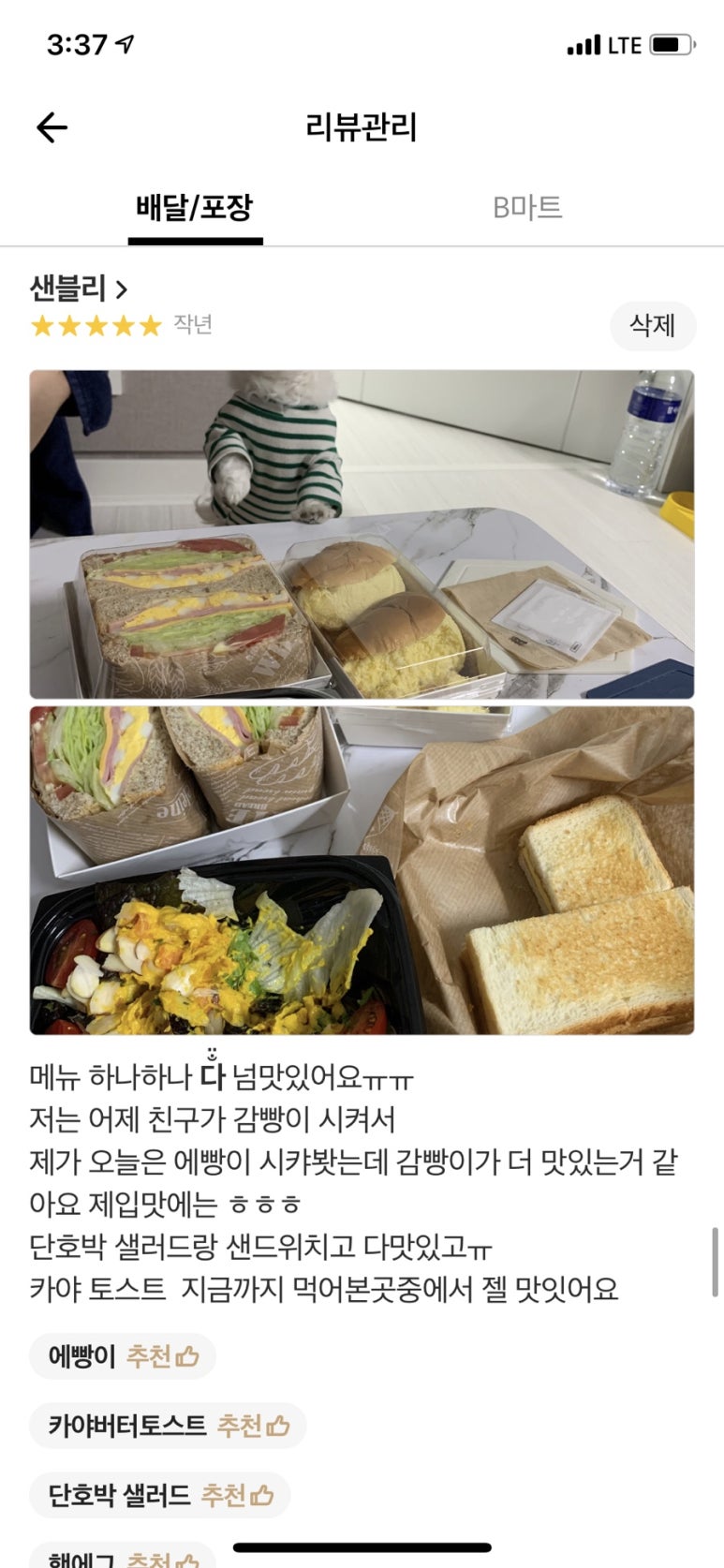 샌블리 이미지