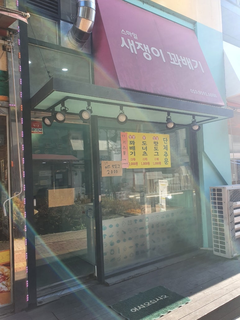 새쟁이꽈배기 이미지