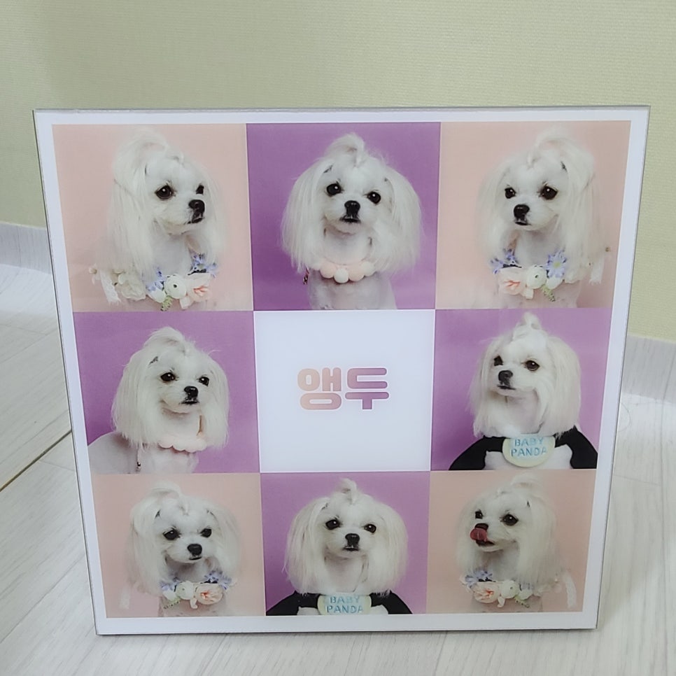 네모사진관 이미지