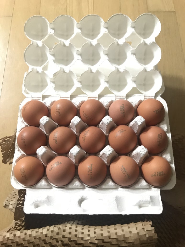 정훈농장 이미지