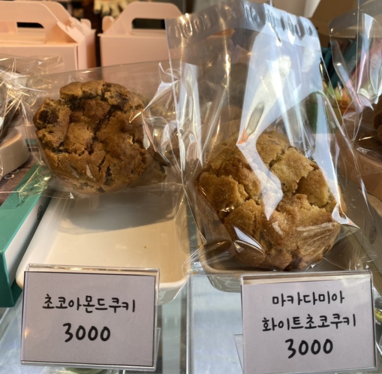 앤쏘 이미지