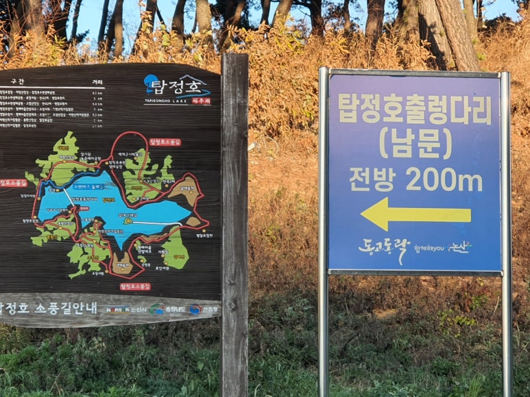 다리여행사 이미지