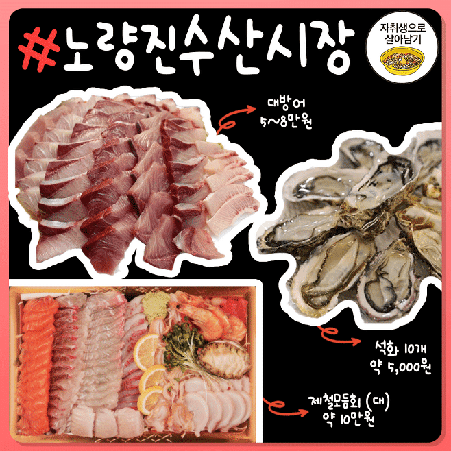 파티마트 이미지