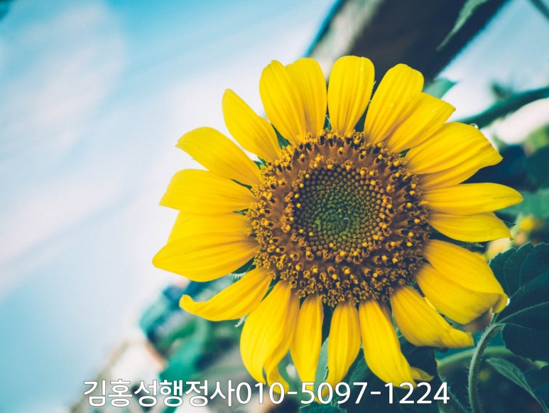 건축물 일반 청소업 이미지
