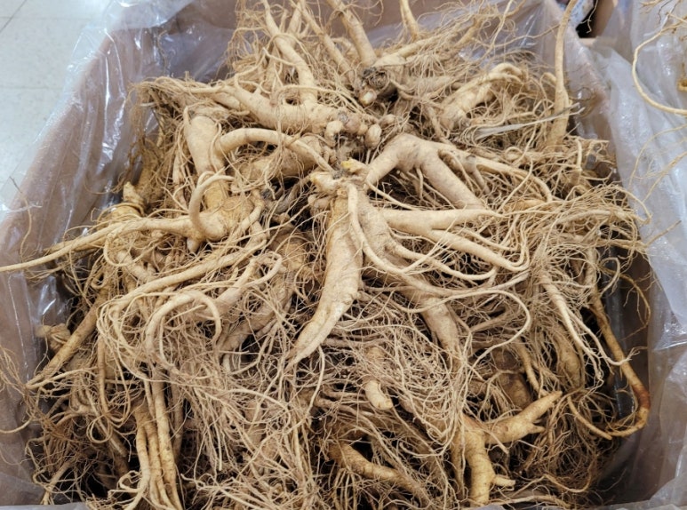 강화수삼센타 이미지