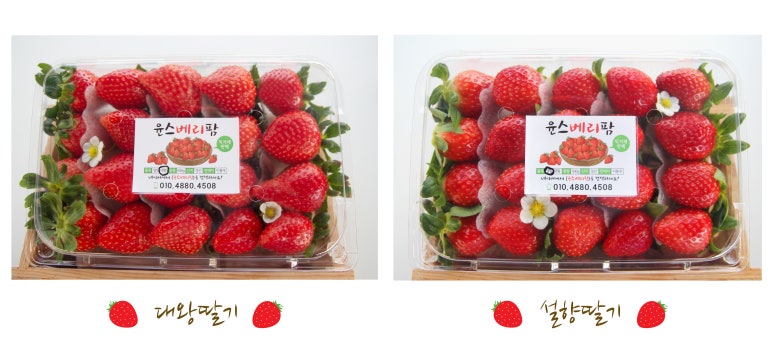 윤팜 이미지