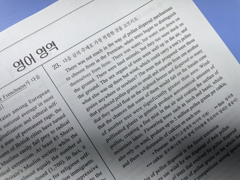 대치상승영어 이미지
