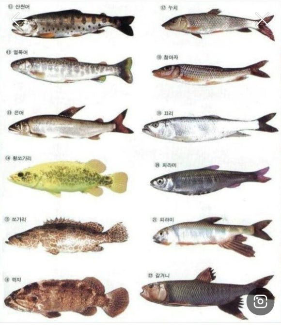 낚시행복 이미지