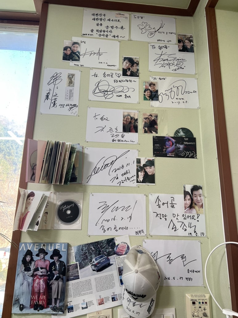 비발디송어골 이미지