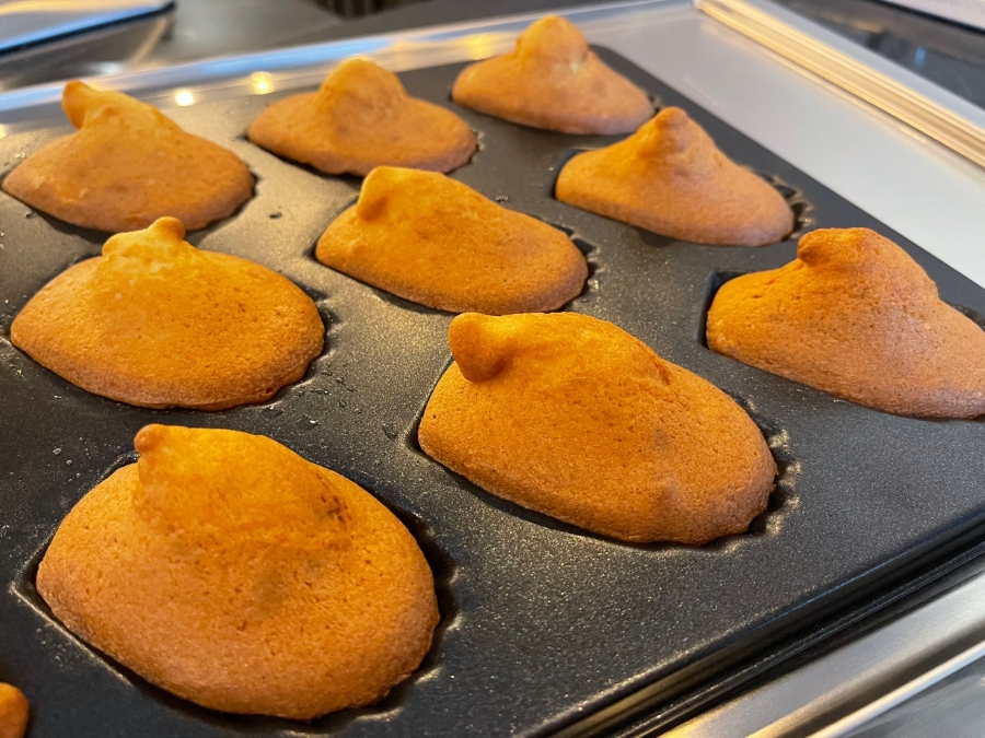원바리스타커피학원 이미지
