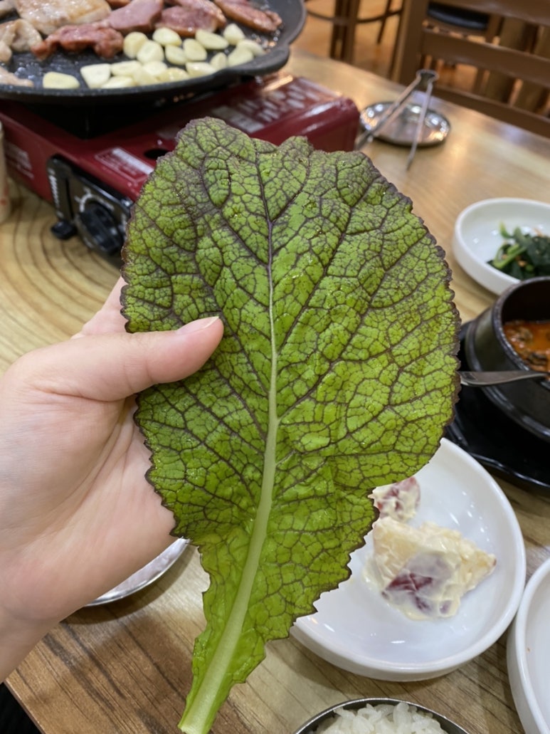청호우렁쌈밥 이미지