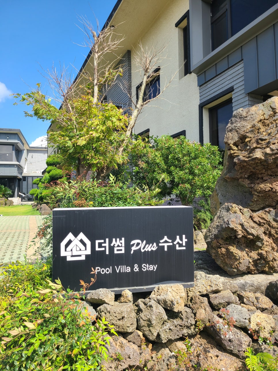 더썸 이미지