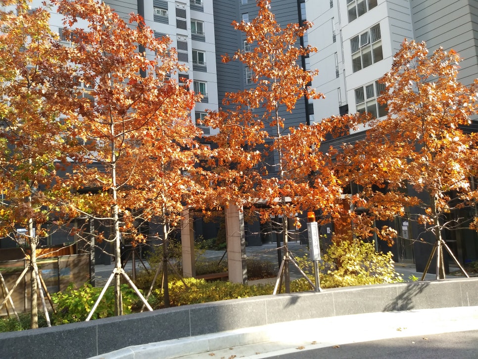 죠스이편한 이미지