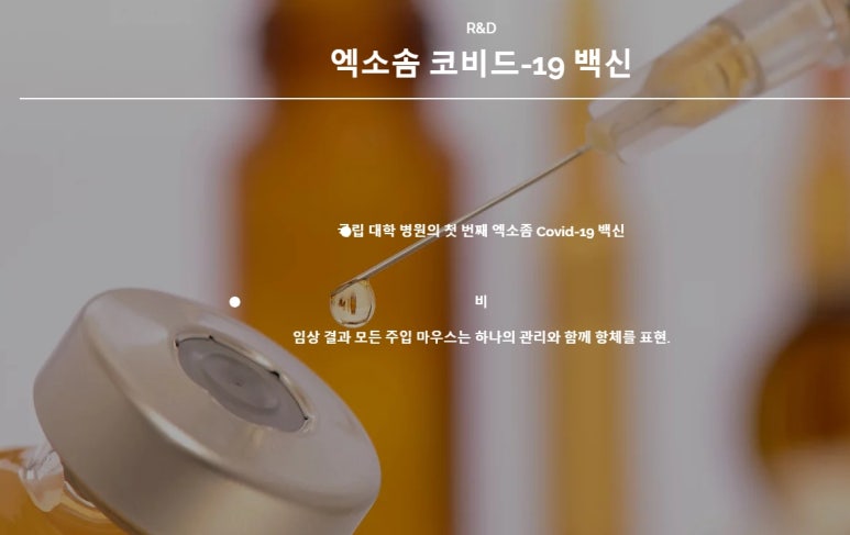 씨케이개발 이미지