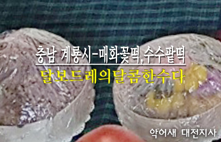 달보드레의달콤한수다 이미지