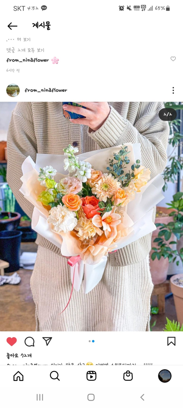 프롬니나 이미지