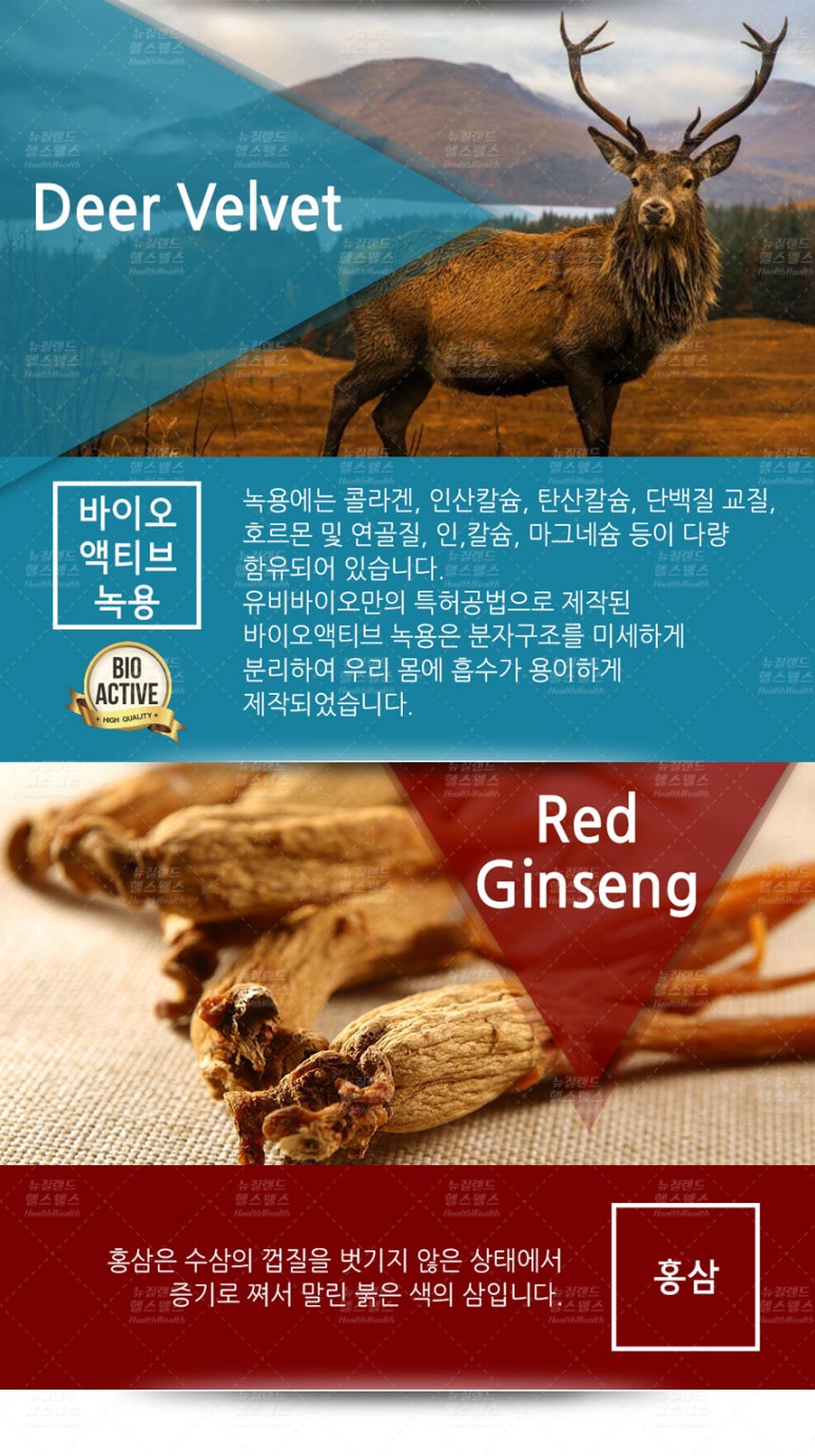 오케이바이오 이미지