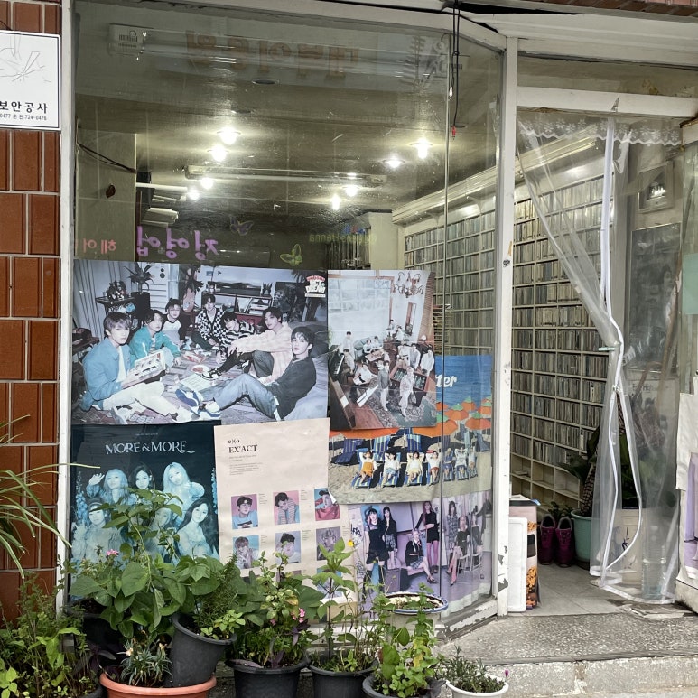 제일레코드사 이미지