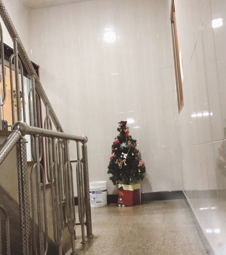상록수12사진관 이미지