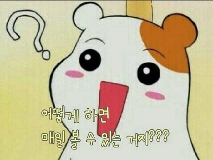 오늘도 채우다 이미지