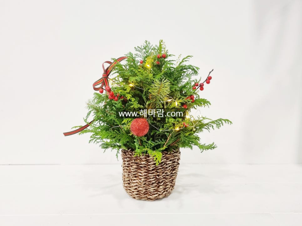 힐링트리 이미지