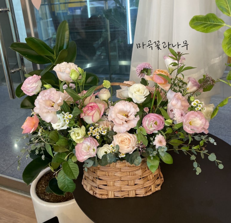 마곡꽃과나무 이미지