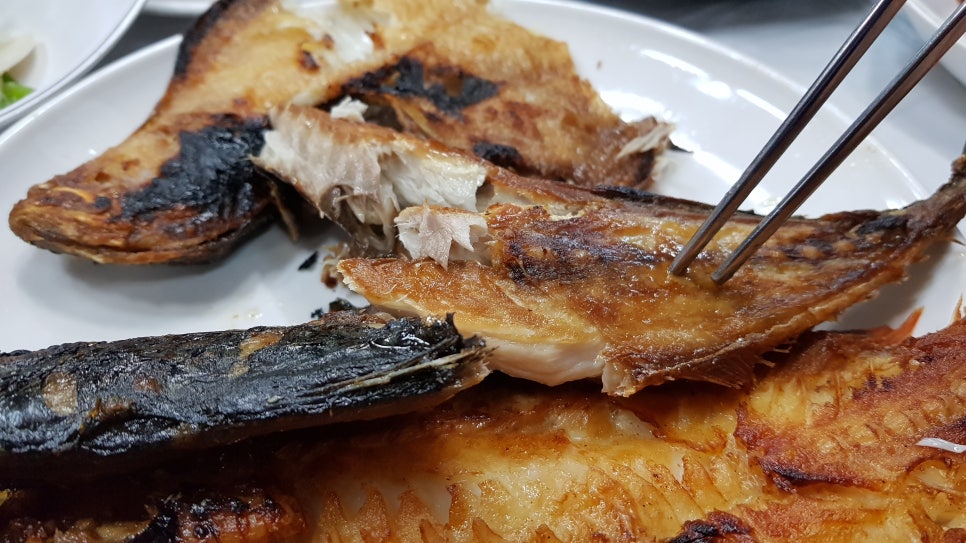 동해선구 이미지
