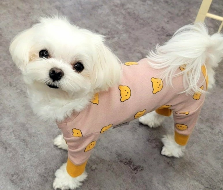 용암건어물 이미지