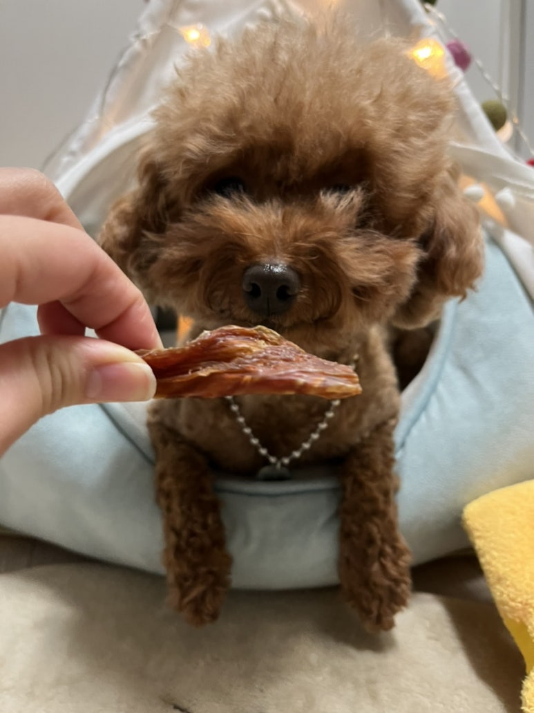 줄래곱창 이미지